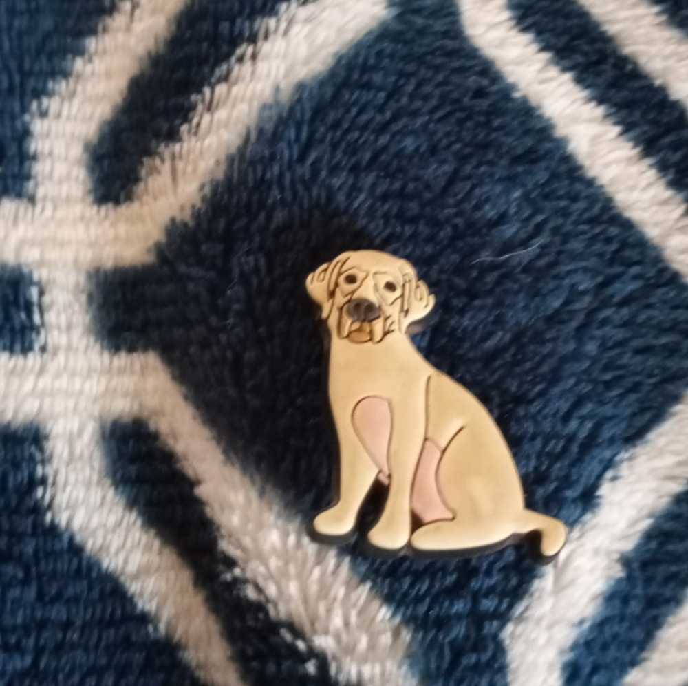 Golden lab croc jibit